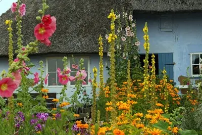 Reeddach auf Wochenendhaus Reeddach auf Wochenendhäusern