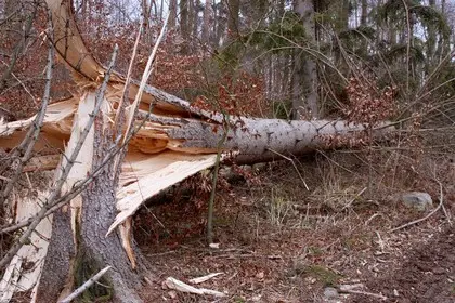 Ferienhaus in Deutschland gegen Unwetterschaden absichern