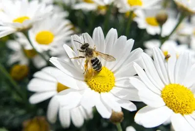 Jetzt günstig Gartenhaus versichern