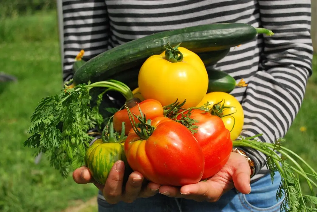Gartenarbeit entschleunigt den Stress Der Garten als Rückzugsort im Freien