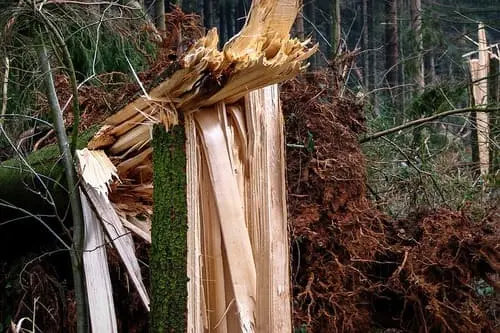 Orkanartige Böen können Dach vom Wochenendhaus zerstören